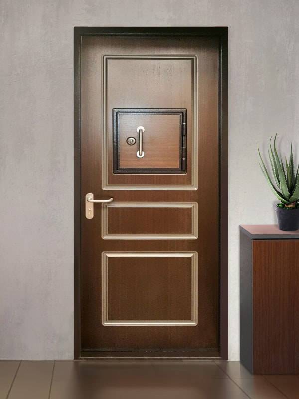 Дверь для кассы №10