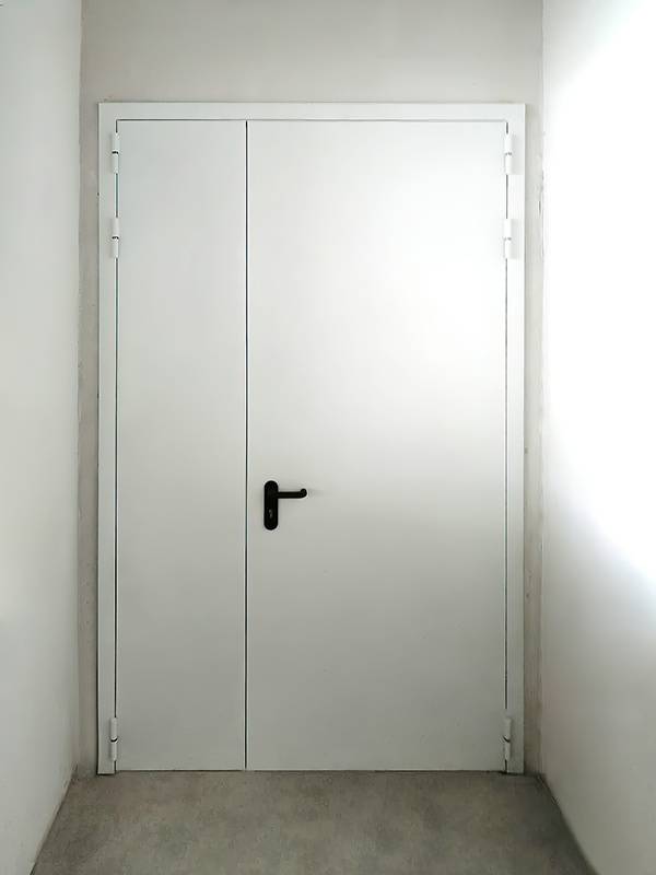 Двупольная дверь на запасном выходе Двупольная дверь на запасном выходе