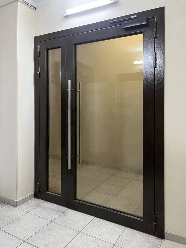 Светопрозрачная стальная дверь